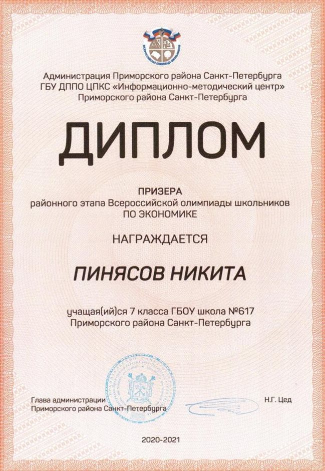 2020-2021 Пинясов Никита 7л (РО-экономика)